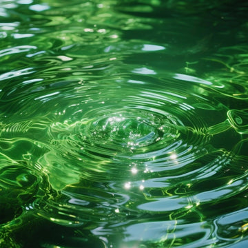 Water Element - Nourishing Life’s Source
