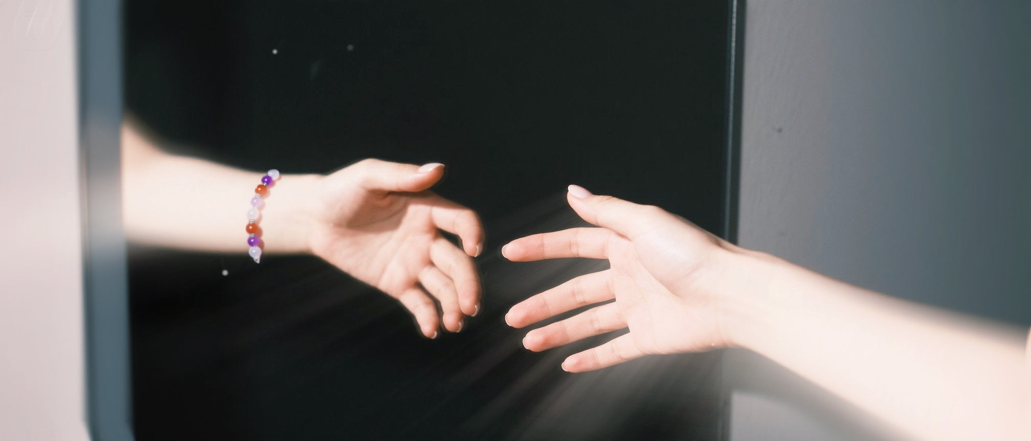 collection-banner-image