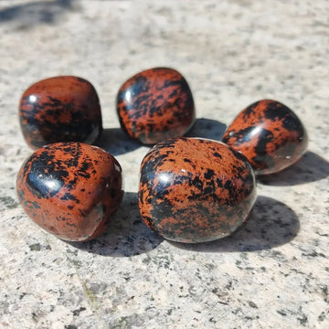 Gold Swan Obsidian - Guardian of Spiritual Light